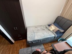 The Rochester Residences (D5), Apartment #486990831